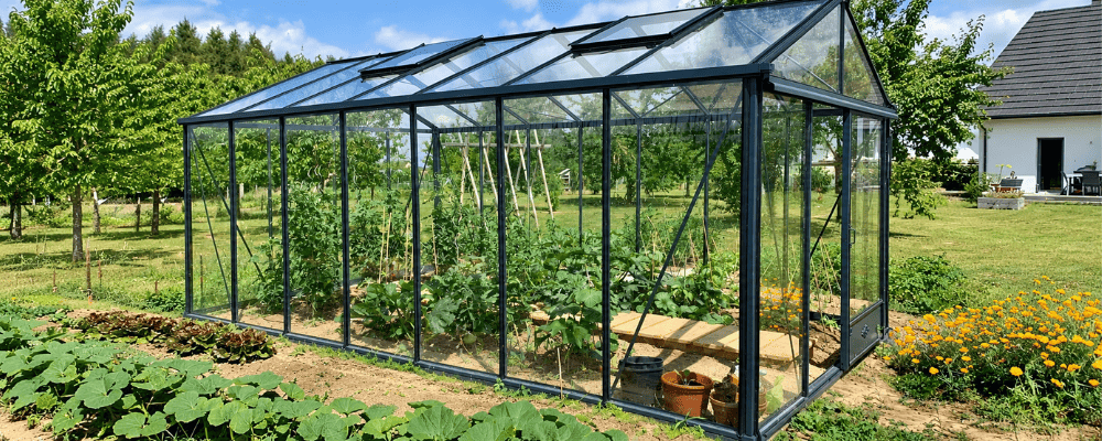 Serre Luxia LAMS aménagée en potager avec une allée centrale